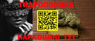 ALPHA PVP Будённовск