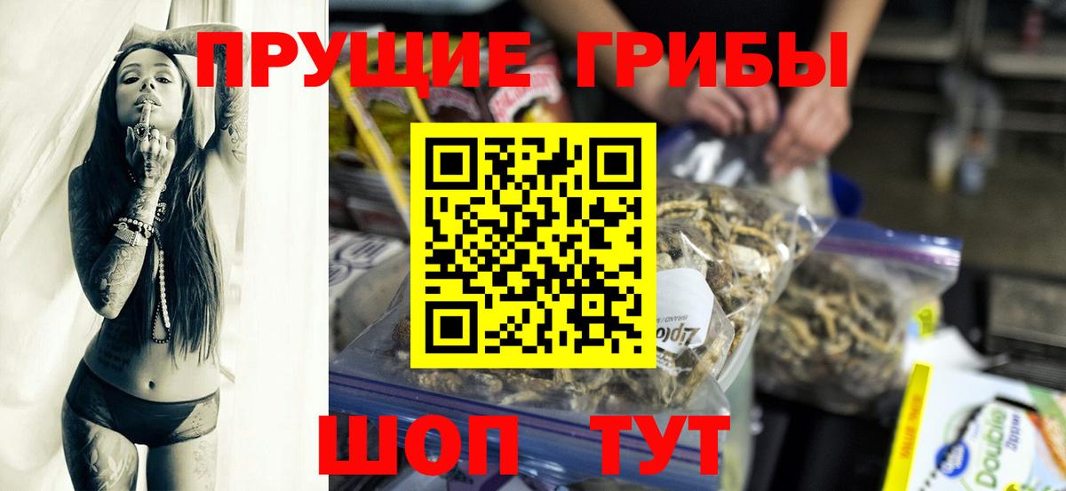 Великий Устюг  Галлюциногенные грибы Psilocybine cubensis  Вход с VPN  Галлюциногенные грибы Psilocybine cubensis 